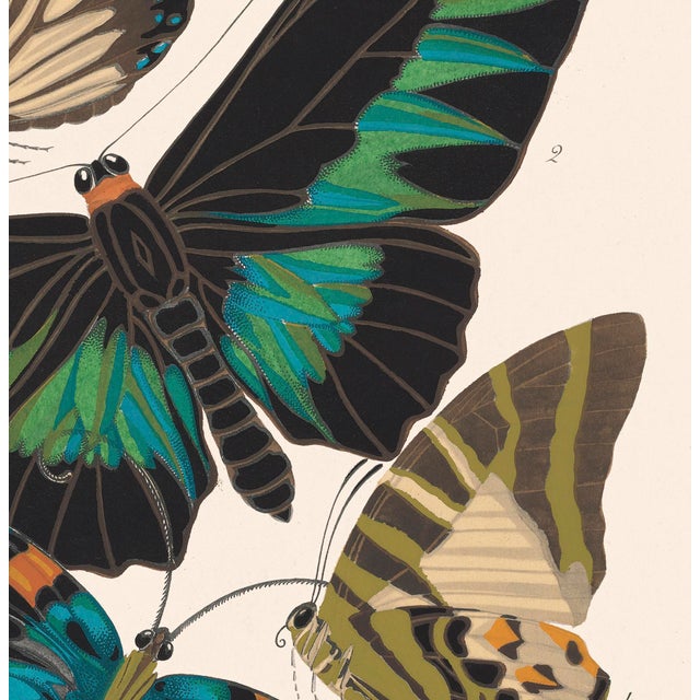 Contemporary Papillons (Butterflies) Plate 10 Giclee Reproducion Art Print by Emile Allian Séguy For Sale - Image 3 of 4