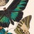 Contemporary Papillons (Butterflies) Plate 10 Giclee Reproducion Art Print by Emile Allian Séguy For Sale - Image 3 of 4