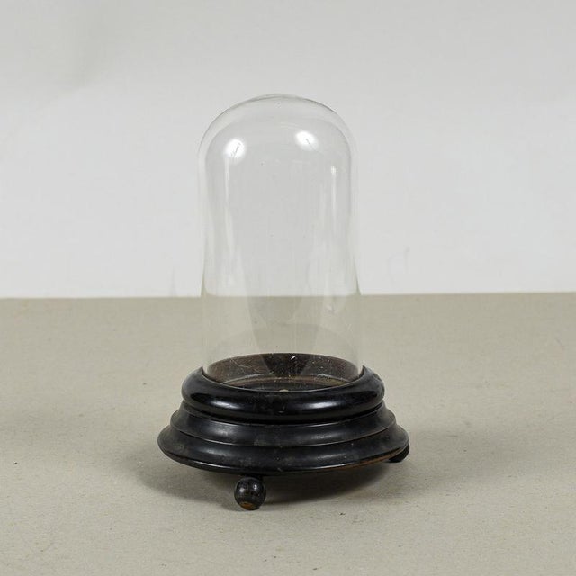 This antique glass case, commonly known as a bell, is a fascinating object that evokes the taste for late 19th-century...