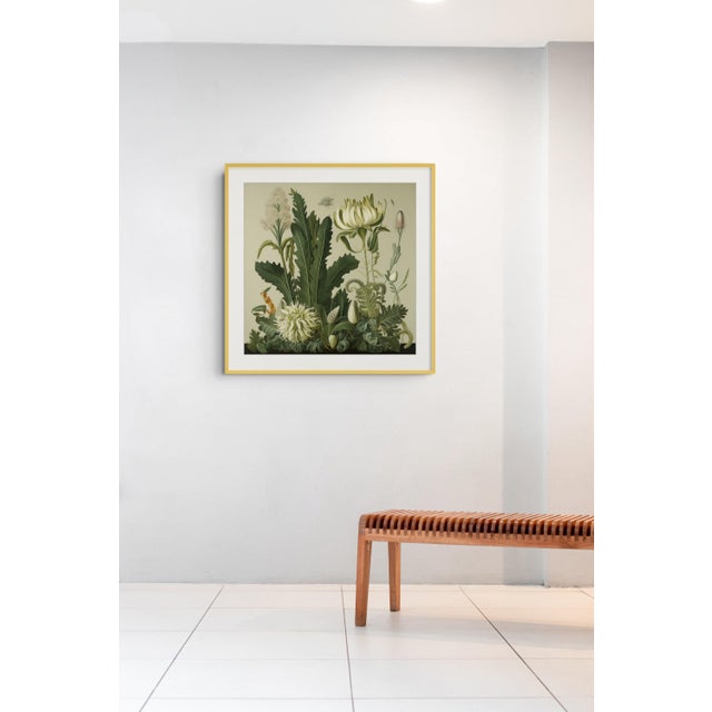 This fine art print reproduces a beautifully detailed 19th-century botanical illustration depicting an elegant arrangement...