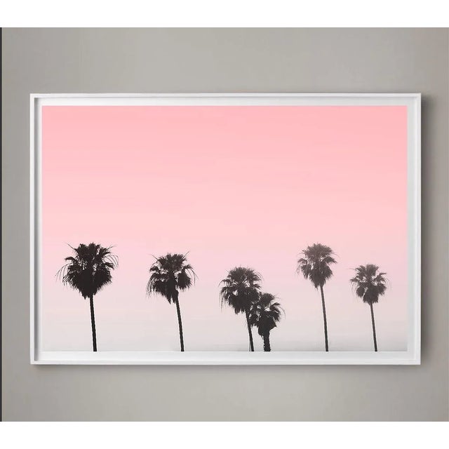 This photograph of palm trees along the foggy coast of Santa Monica against a gorgeous pink sunrise. • Archival Photo...