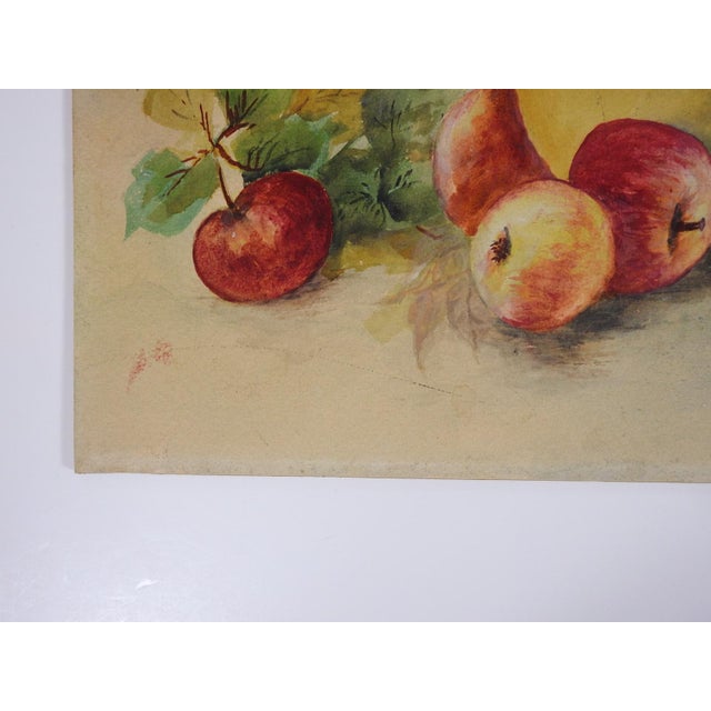 Early 20th Century Early 20th Century Still Life With Apples Watercolor Painting For Sale - Image 5 of 8
