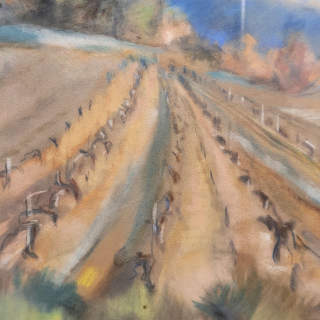 Blue French School Artist, Vineyard in Provence, Early 20th Century, Pastel on Paper, Framed For Sale - Image 8 of 18