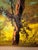 Mid-Century Modern 1976 Mid-Century Modern Morris Katz Original Impasto Bird Landscape Painting For Sale - Image 3 of 10