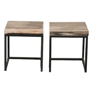 Petrified Wood & Iron Side Tables - A Pair For Sale