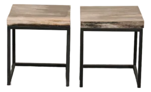 Petrified Wood & Iron Side Tables - A Pair
