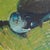 VINTAGE ORIGINAL OIL ON CANVAS BIRD PAINTING Depicting a pigeon sat on the grass from the perspective looking towards the...