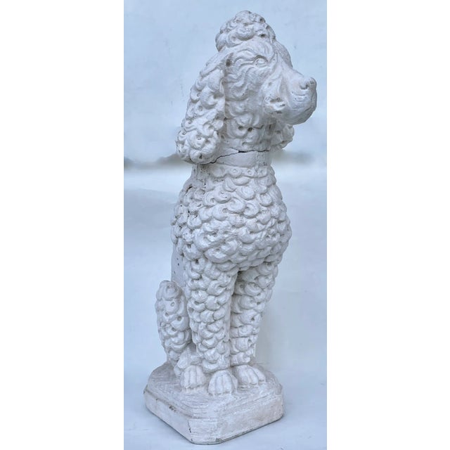 Our mid century era standard poodle epitomizes the proud and dignified demeanor of the breed while also capturing the...