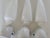 Swedish Ceramic 6035 Wall Lights by Stig Carlsson for Ifö, 1950s, Set of 3 For Sale - Image 11 of 14
