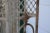 Early 21st Century Large Wrought Iron Painted Distressed Trellises - Set of 2 For Sale In Cincinnati - Image 6 of 10