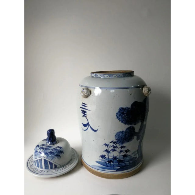 Blue Chinese Blue and White Porcelain Vase With Ever Green and Plum Flowers For Sale - Image 8 of 10