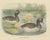 Elliot, Two Black-Necked Grebes, Large Print, 1869 For Sale - Image 3 of 5
