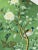 Paper 20“*40”/Panel, a Set of Two Chinoiserie Floral Wall Artwork, No Frame, Tea Paper For Sale - Image 7 of 7