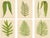 E.J. Lowe, Exotic Fern, 1856, Lithograph, Set of 6 For Sale