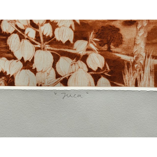 G H Rothe Yuca Hand Signed Art Limited Edition Landscape 1982 For Sale In Denver - Image 6 of 7
