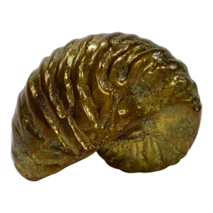 Vintage Brass Brutalist Ammonite Paper Weight