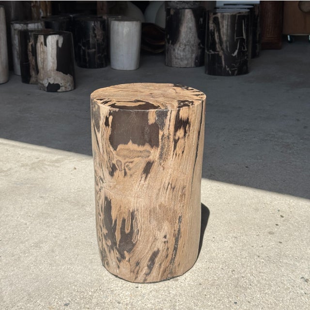 1980s Side Table in Brown and Black Petrified Wood, 1980s For Sale - Image 5 of 18