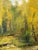 Wood Vintage Large Framed Aspen Creek Landscape Signed Oil Painting For Sale - Image 7 of 18