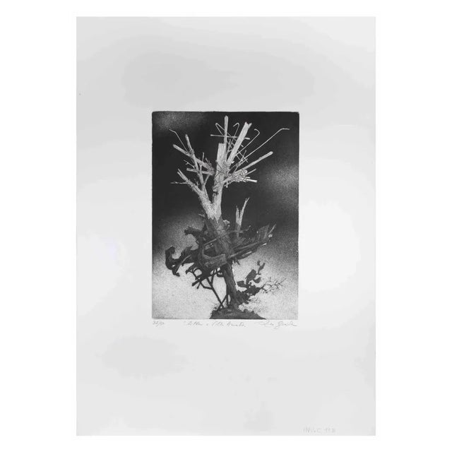 Leo Guida, The Tree at Villa, Etching, 1970s For Sale