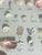 Vintage Sea Shell Collection Marine Specimens For Sale - Image 4 of 9