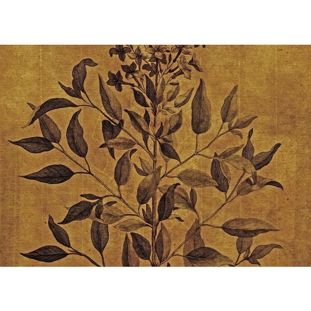 19th Century Botanical Antique Engraving Matted Framed - a Pair For Sale In Philadelphia - Image 6 of 6