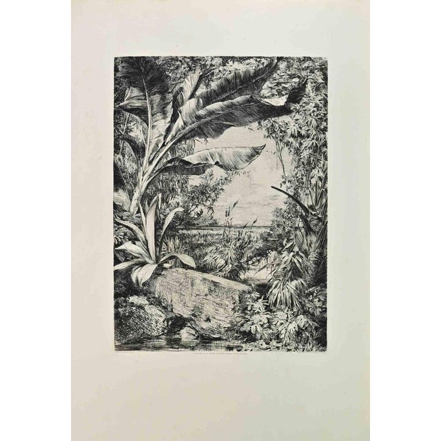 Plants of the Greenhouse is a black and white etching realized by Jules Jacquemart (1837-1880) in 1870s. Titled in the...