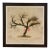 Natural Curiosities “Tubularia Ramea” Large Coral Tree Natural History Print, For Sale