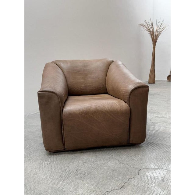 DS-47 Chair in Buffalo Leather from De Sede, Switzerland, 1970s For Sale - Image 3 of 14