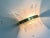 Gold Italian Palmetta Wall Sconce in Murano Glass from Simoeng For Sale - Image 8 of 12