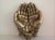 This antique solid brass cupped hands jewelry trinket dish from the early 1900s is a unique decorative piece that can be...