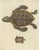 Bertuch, Sea Turtle and Freshwater Turtle, 1790, Engraving For Sale