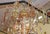 19th Century Palatial French Louis XV Style Chandelier Attributed to Baccarat For Sale - Image 15 of 17