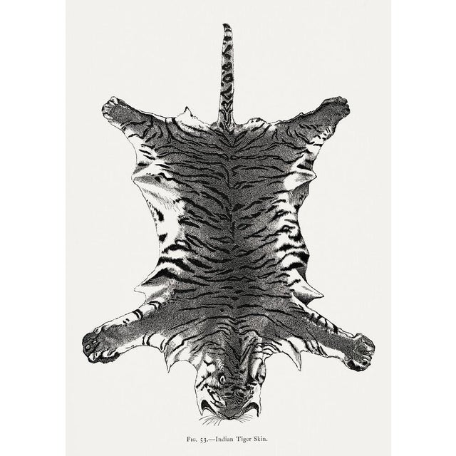 Art print is on premium, acid-free, archival fine art paper with a matte finish. Size: 5" x 7" . Art Print of Vintage...