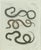 Bertuch, Three European Snakes, 1802, Engraving For Sale - Image 11 of 11