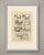 This is an original antique copper engraving, uncolored, a single page plate from montfaucon's antiquity explained, and...