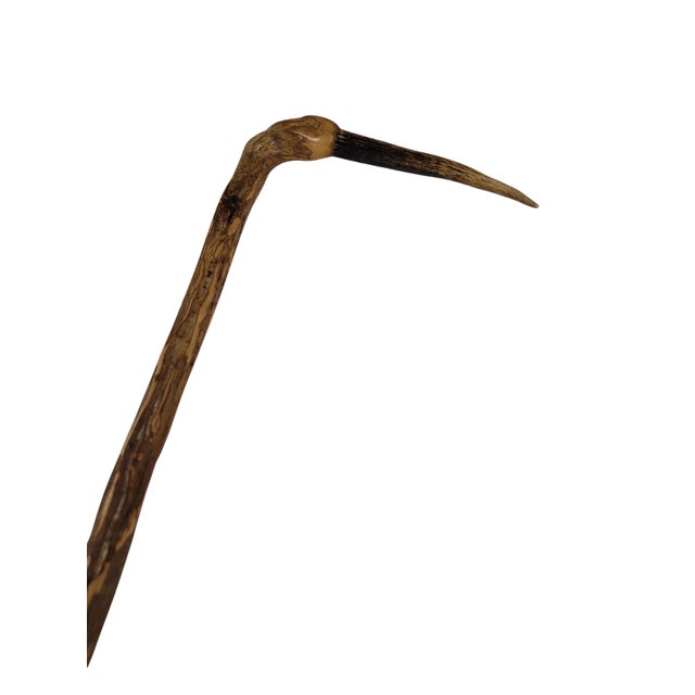 Ironwood Walking Stick For Sale - Image 4 of 12