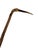 Ironwood Walking Stick For Sale - Image 4 of 12
