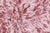Modern Shaggy Rug in Pink Tones by Doris Leslie Blau For Sale - Image 4 of 7