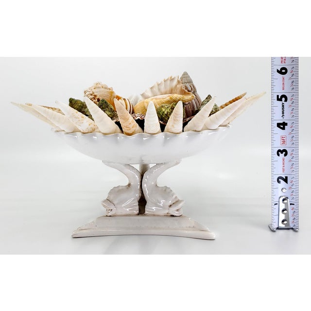 Ceramic Bowl Seashells Shells For Sale - Image 7 of 14