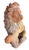 Pair of Italian Terracotta Lions For Sale - Image 4 of 11