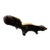 9 Inch Skunk, Hand Crafted , Fur, Figurine Vintage For Sale