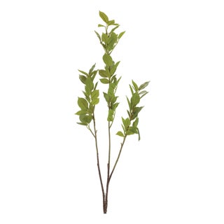 Leaf Foliage Branch (Set of 6) For Sale