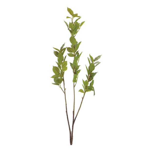 Leaf Foliage Branch (Set of 6) For Sale