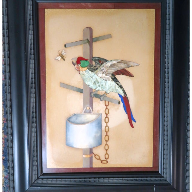 Exceptioal Large Pietra Dura (Pietra Dure) Parrot on a Perch Trying to Catch a Fly - Italian, Vintage or Older. For Sale - Image 9 of 13