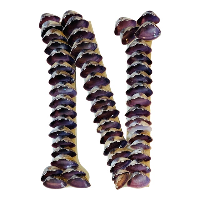 Sea Shell Encrusted Letter N For Sale