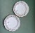 Early 20th Century Antique Hand-Painted Floral Pattern Dinner Plates- a Pair For Sale - Image 5 of 11
