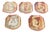 Set of Five Yohen-Kin Shino Ceramic Plates by Suzuki Tomio For Sale