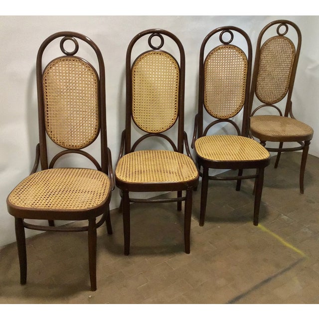 Brown Austrian Chair by Michael Thonet for Thonet For Sale - Image 8 of 8