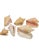 Serena & Lily Vintage Large Coastal Genuine Natural Conch Sea Shells- Set of 6 For Sale - Image 4 of 16
