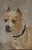 hand painted image of a pit bull terrier. A masculine image of a loyal companion. Captures the love and care a pet...